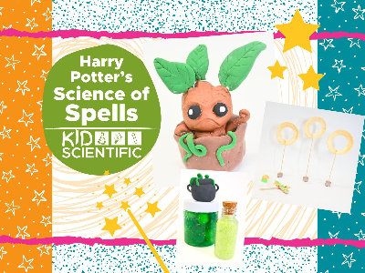 Harry Potter’s Science of Spells Mini-Camp (4-9 Years)